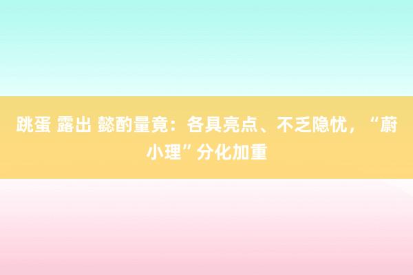 跳蛋 露出 懿酌量竟：各具亮点、不乏隐忧，“蔚小理”分化加重