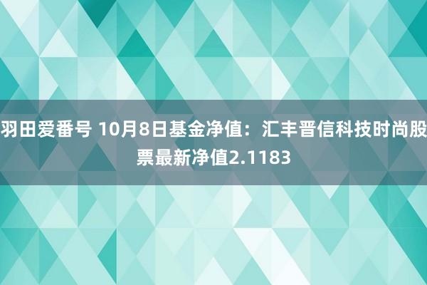 羽田爱番号 10月8日基金净值：汇丰晋信科技时尚股票最新净值2.1183