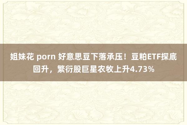 姐妹花 porn 好意思豆下落承压！豆粕ETF探底回升，繁衍股巨星农牧上升4.73%