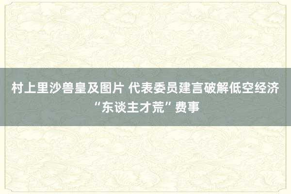 村上里沙兽皇及图片 代表委员建言破解低空经济“东谈主才荒”费事