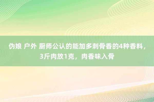 伪娘 户外 厨师公认的能加多刺骨香的4种香料，3斤肉放1克，肉香味入骨
