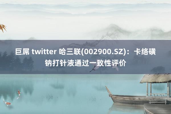 巨屌 twitter 哈三联(002900.SZ)：卡络磺钠打针液通过一致性评价
